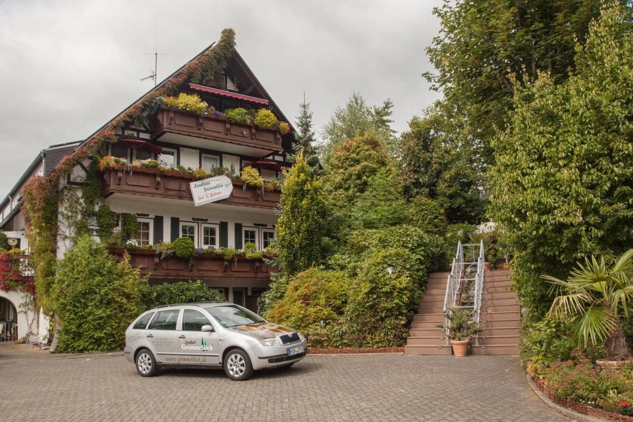 Landhotel Grimmeblick Winterberg Ngoại thất bức ảnh